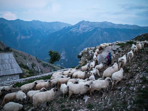 Bosnia và Herzegovina: Khi trời trở tối, đàn cừu từ đồng cỏ trở về làng Lukomir trên núi Bjelasnica, ngọn núi thuộc Bosnia và Herzegovina, một quốc gia nằm tại đông nam Âu. Lukomir là nhà của 17 gia đình với nền văn hóa đậm tính truyền thống rất đặc biệt. 